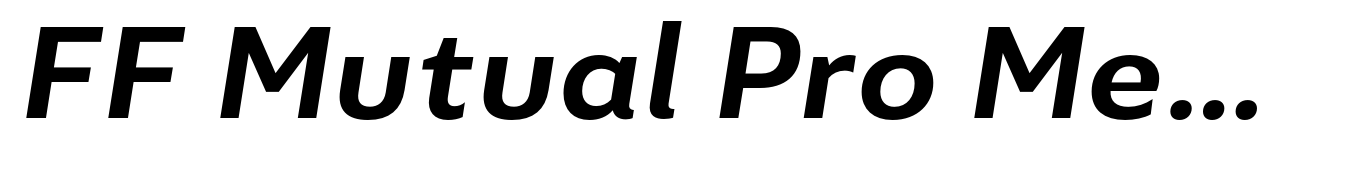 FF Mutual Pro Medium Italic
